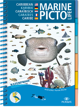 Guide de pêche Marine Picto Caraïbes